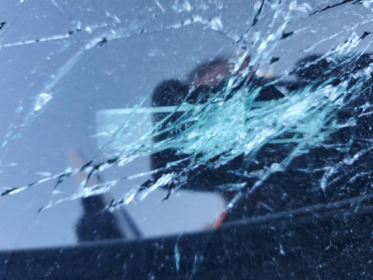 2024 TOYOTA RAV4 XLE VIN:2T3P1RFV7RW412928