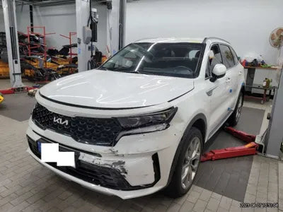 2023 Kia Sorento KNARL81BGPA193571 VIN:KNARL81BGPA193571