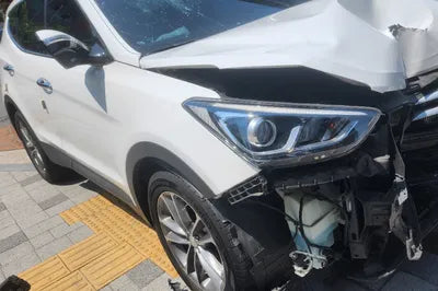 2017 Hyundai Santa FE KMHSW81UBHU728977 VIN:KMHSW81UBHU728977