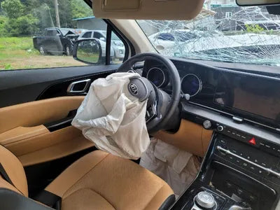 2021 Kia Carnival KNANC81BBMS004700 VIN:KNANC81BBMS004700
