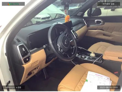 2021 Kia Sorento KNARH81GBMA030739 VIN:KNARH81GBMA030739
