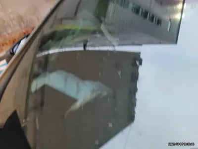 2022 Mercedes-Benz E 220 000W1KZF0FB1NB020 VIN:000W1KZF0FB1NB020