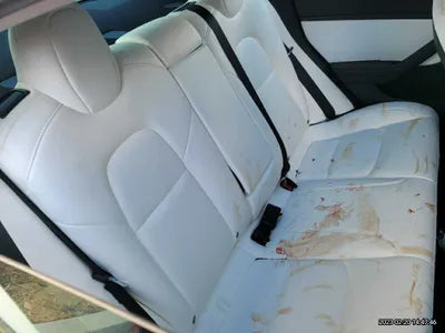 2021 Tesla Model 3 5YJ3E1EB5MF892588 VIN:5YJ3E1EB5MF892588
