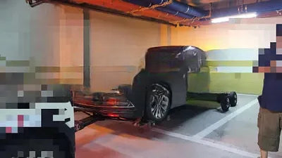 2014 acupuncture nessis 3.3 NONE VIN: