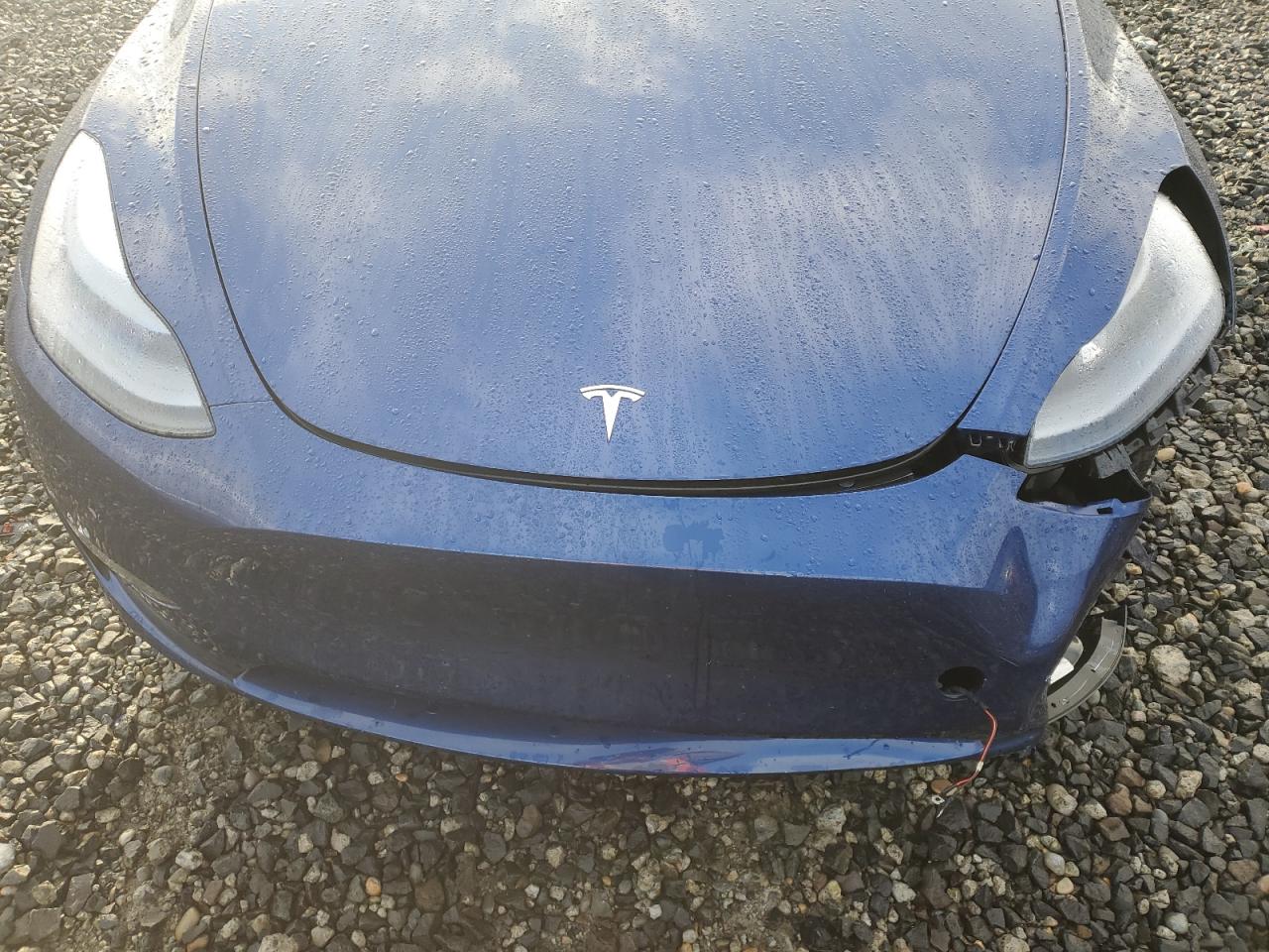 2023 TESLA MODEL Y VIN:7SAYGAEE7PF824973