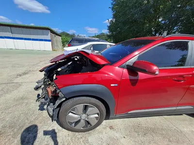 2019 Hyundai Kona KMHK281GFKU008281 VIN:KMHK281GFKU008281