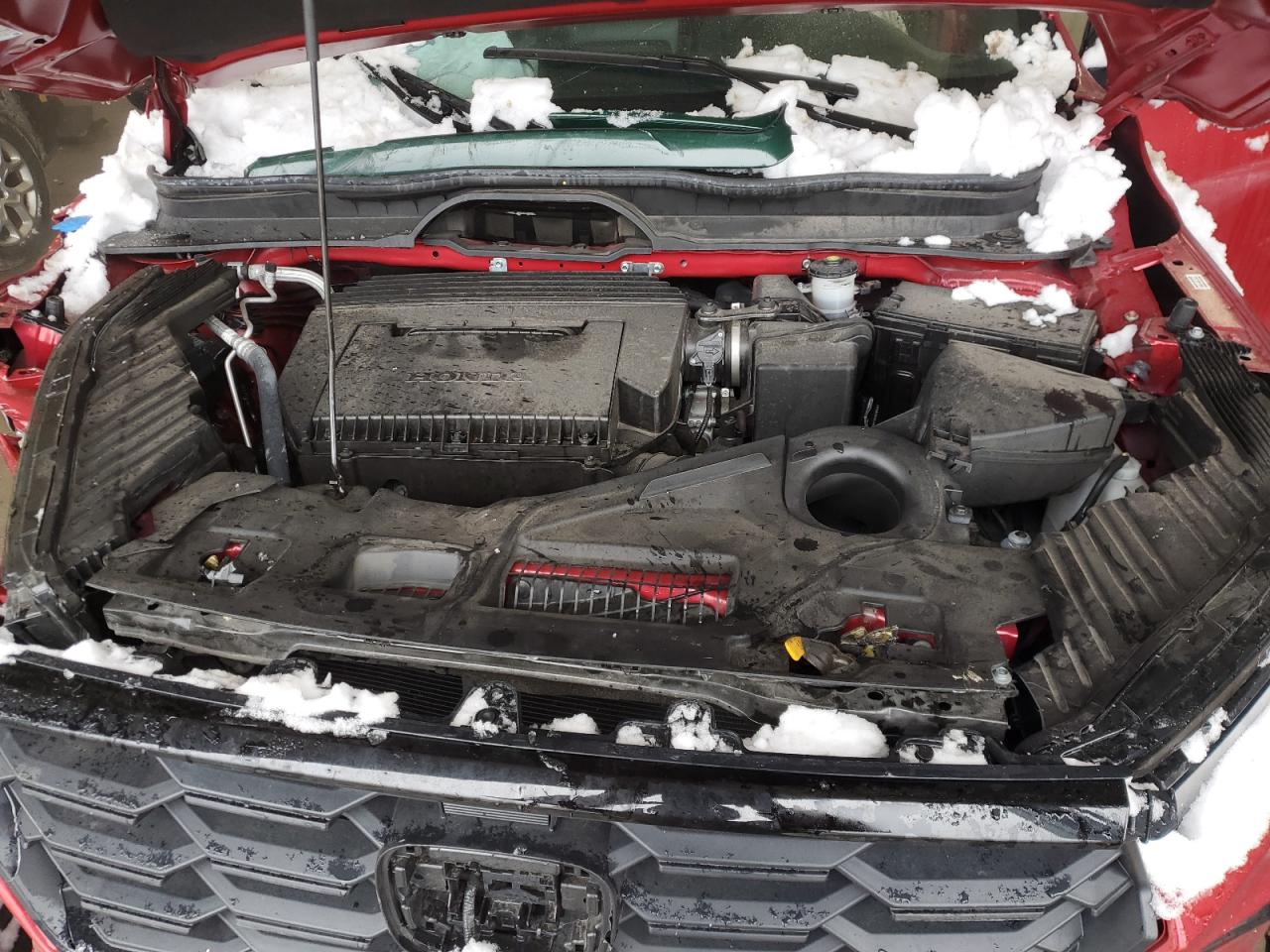 2023 HONDA PILOT SPORT VIN:5FNYG1H34PB043934