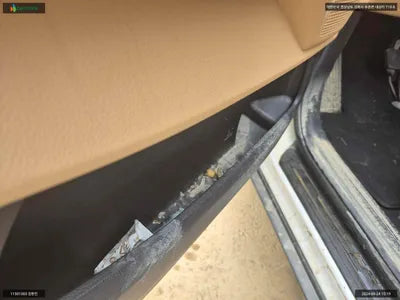 2020 Kia Carnival KNANC81BBMS038807 VIN:KNANC81BBMS038807