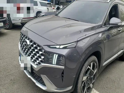 2021 Hyundai Santa FE KMHS581HGMU344900 VIN:KMHS581HGMU344900