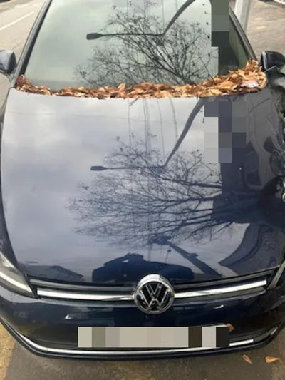 2015 Volkswagen Golf VIN: