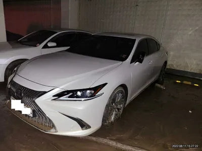 2019 Lexus ES 300 JTHB21B11K2015515 VIN:JTHB21B11K2015515