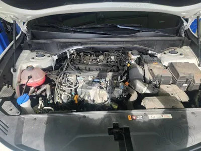 2022 Kia Sorento KNARL81BGNA165588 VIN:KNARL81BGNA165588