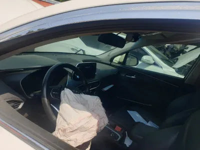 2019 Hyundai Santa FE KMHS381CDKU157417 VIN:KMHS381CDKU157417