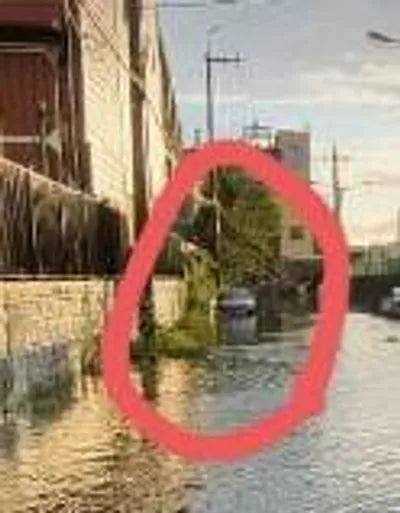 2017 Mercedes-Benz E 220 WDD1J1EB5HF039277 VIN:WDD1J1EB5HF039277