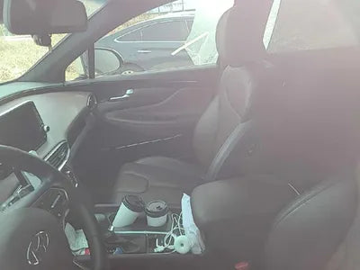 2019 Hyundai Santa FE KMHS581CBKU150918 VIN:KMHS581CBKU150918