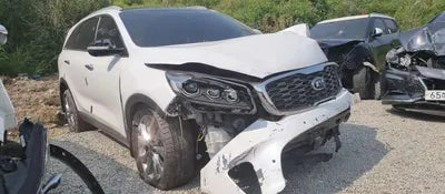 2019 Kia Sorento KNAPS81BBLA564800 VIN:KNAPS81BBLA564800