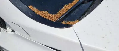 2022 Hyundai Santa FE KMHS3811BNU043147 VIN:KMHS3811BNU043147