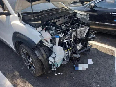 2021 Hyundai Kona KMHK5813GNU832398 VIN:KMHK5813GNU832398