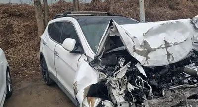 2016 Hyundai Santa FE KMHSW81UBGU666839 VIN:KMHSW81UBGU666839