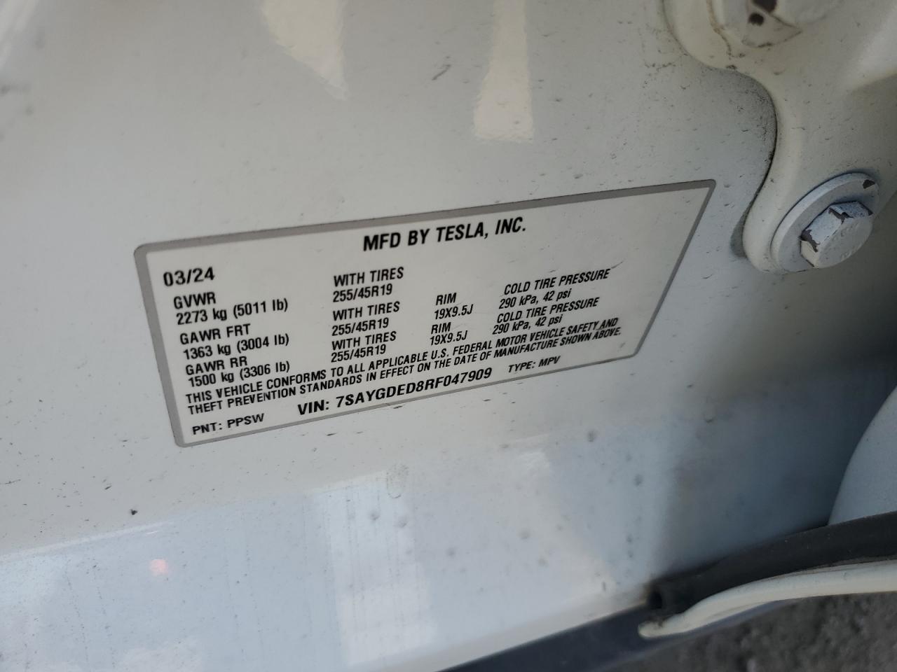 2024 TESLA MODEL Y VIN:7SAYGDED8RF047909