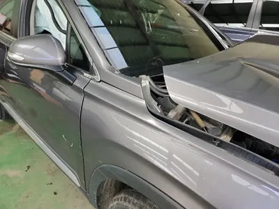 2020 Hyundai Santa FE KMHS281BBLU285246 VIN:KMHS281BBLU285246