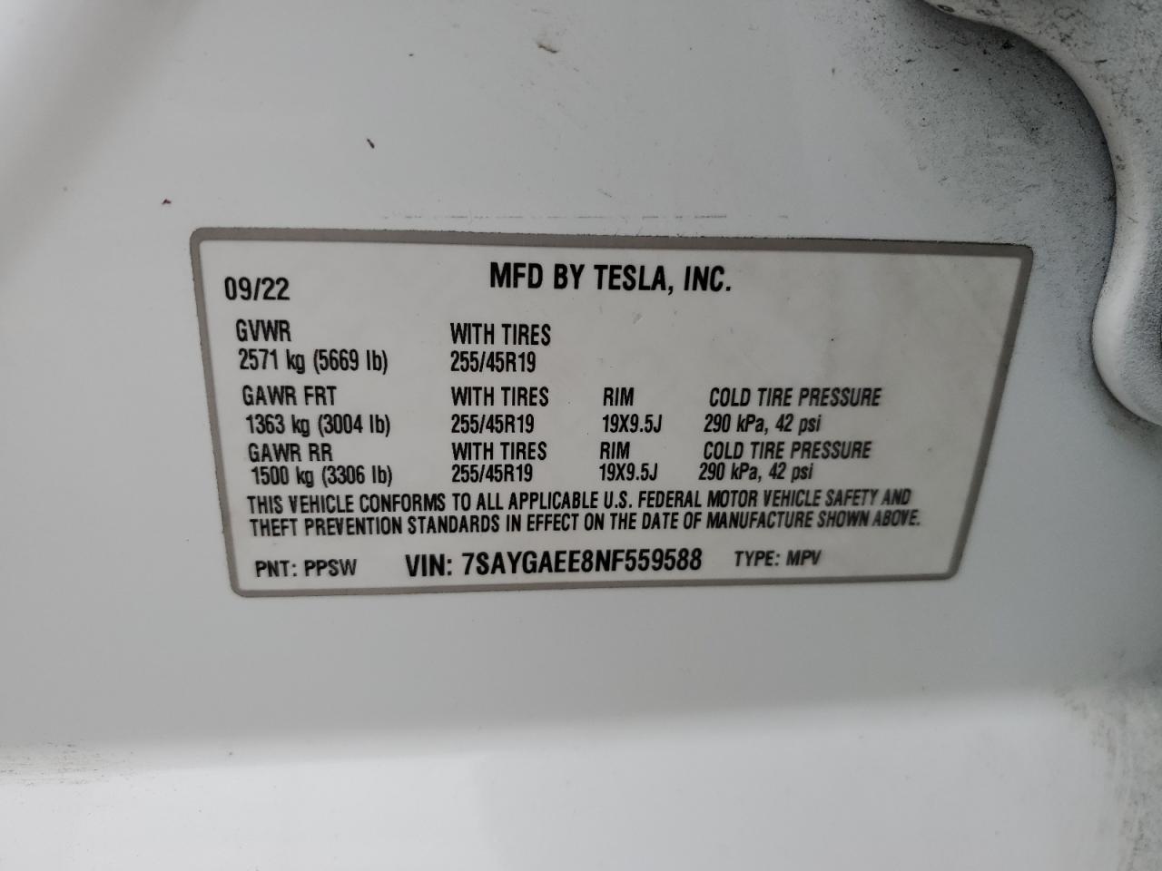 2022 TESLA MODEL Y VIN:7SAYGAEE8NF559588