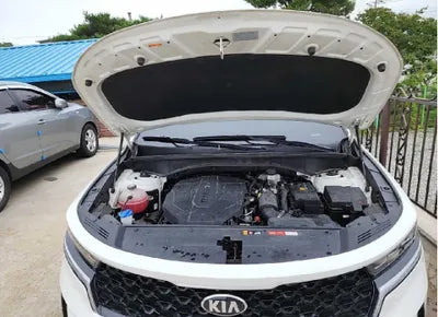 2021 Kia Sorento KNARM81BGMA008288 VIN:KNARM81BGMA008288