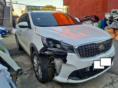 2019 Kia Sorento KNAPS81ABKA475415 VIN:KNAPS81ABKA475415
