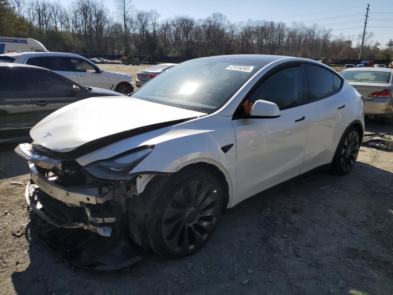 2023 TESLA MODEL Y VIN:7SAYGDEF4PF779825