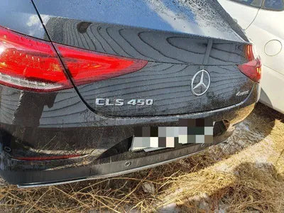 2019 Mercedes-Benz CLS 450 VIN: