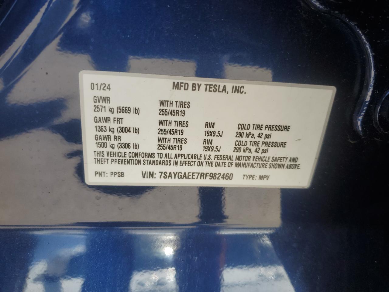 2024 TESLA MODEL Y VIN:7SAYGAEE7RF982460