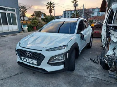 2018 Hyundai Kona KMHK4815GJU010259 VIN:KMHK4815GJU010259
