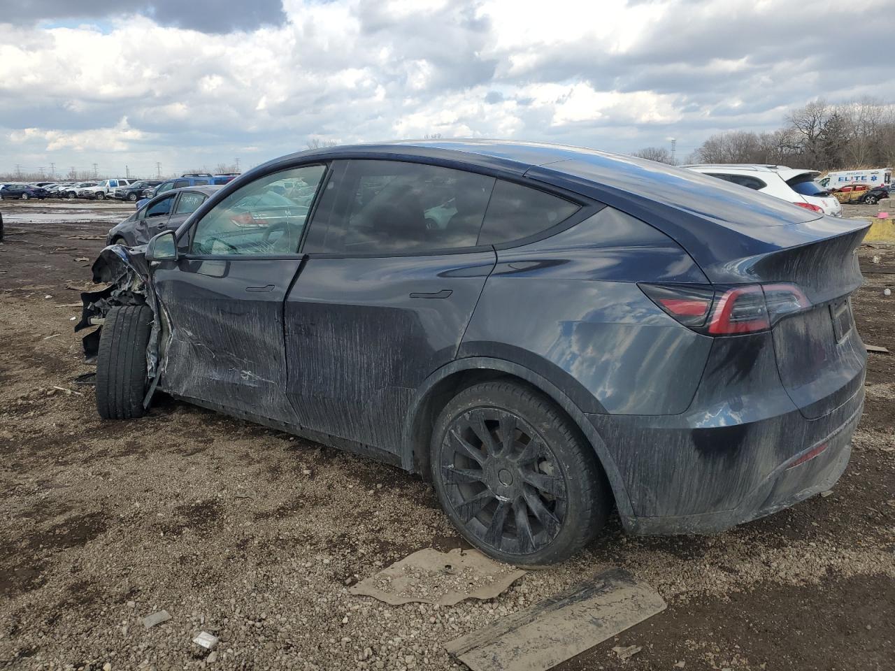 2024 TESLA MODEL Y VIN:7SAYGDEE0RF985007
