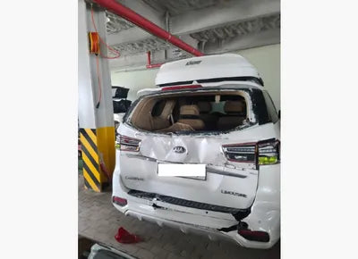 2019 Kia Carnival KNAME811BKS456641 VIN:KNAME811BKS456641