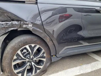 2021 Kia Carnival KNANB81BBMS113372 VIN:KNANB81BBMS113372