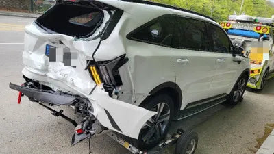2022 Kia Sorento KNARL81GBNA106902 VIN:KNARL81GBNA106902