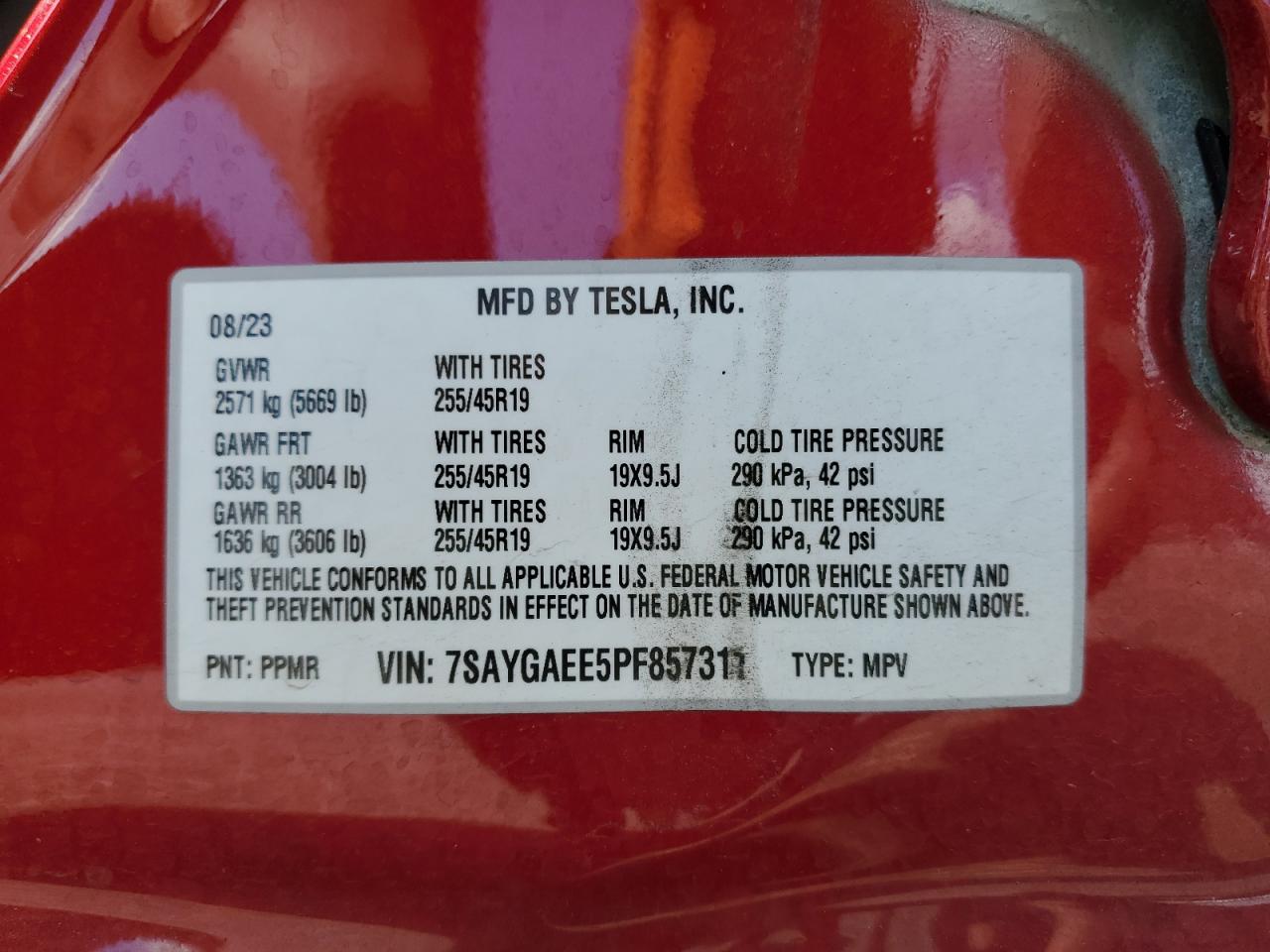 2023 TESLA MODEL Y VIN:7SAYGAEE5PF857311