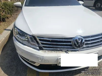 2015 Volkswagen CC WVWZZZ3CZFE813222 VIN:WVWZZZ3CZFE813222