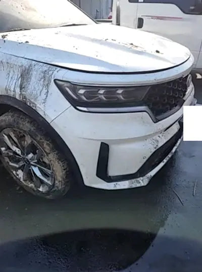 2021 Kia Sorento KNARF81BGMA104013 VIN:KNARF81BGMA104013