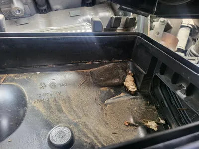 2019 Mercedes-Benz E 300 VIN: