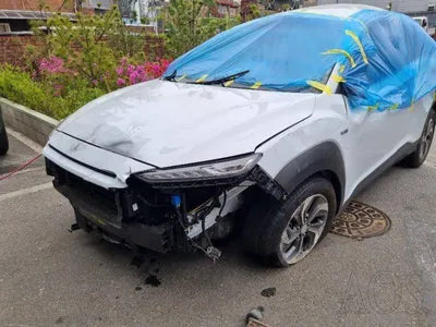 2020 Hyundai Kona KMHK381EGLU034379 VIN:KMHK381EGLU034379