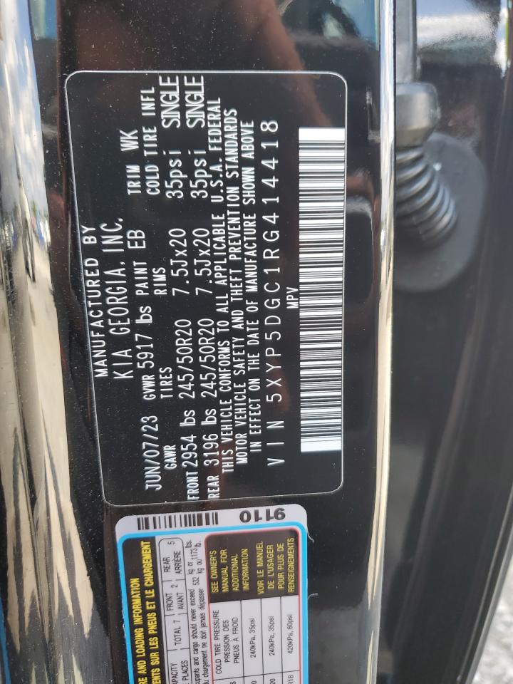 2024 KIA TELLURIDE SX VIN:5XYP5DGC1RG414418