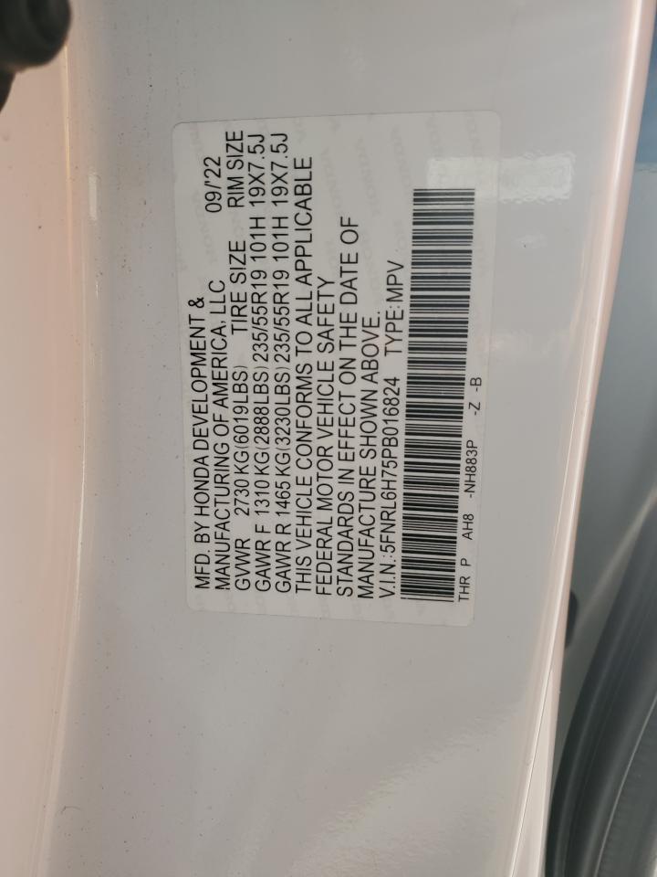 2023 HONDA ODYSSEY SPORT-L VIN:5FNRL6H75PB016824