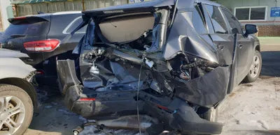 2019 toyota rab 4 VIN: