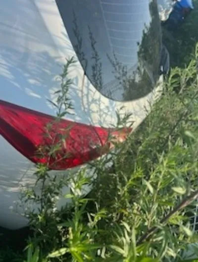 2017 Infiniti QX50 110KMJNKBJ07F1HM5 VIN:110KMJNKBJ07F1HM5