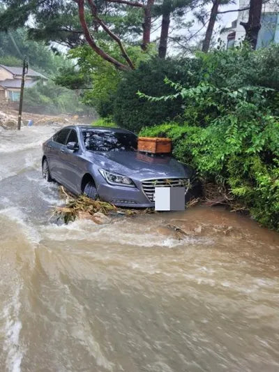 2016 acupuncture nessis 3.8 VIN: