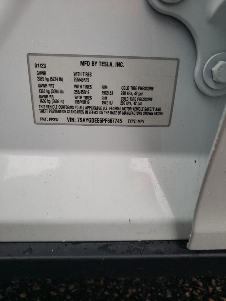 2023 TESLA MODEL Y VIN:7SAYGDEE6PF667745