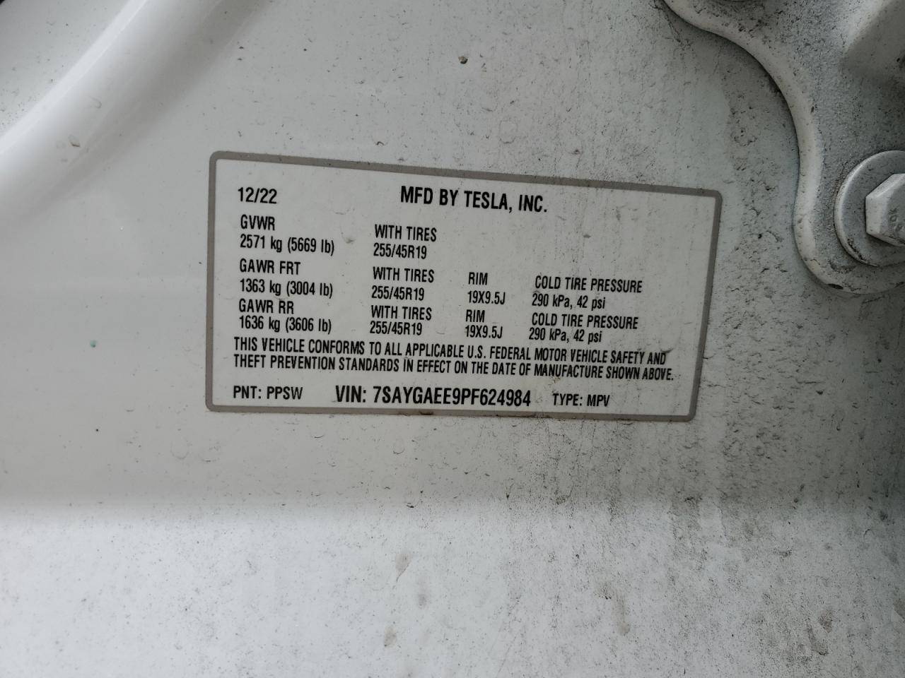 2023 TESLA MODEL Y VIN:7SAYGAEE9PF624984