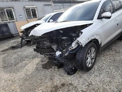 2019 Hyundai Tucson KMHJ381ADKU927566 VIN:KMHJ381ADKU927566