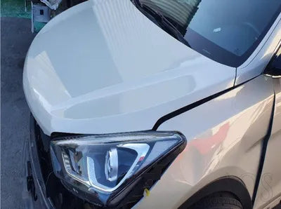 2016 Hyundai Santa FE KMHSW81XBGU591919 VIN:KMHSW81XBGU591919